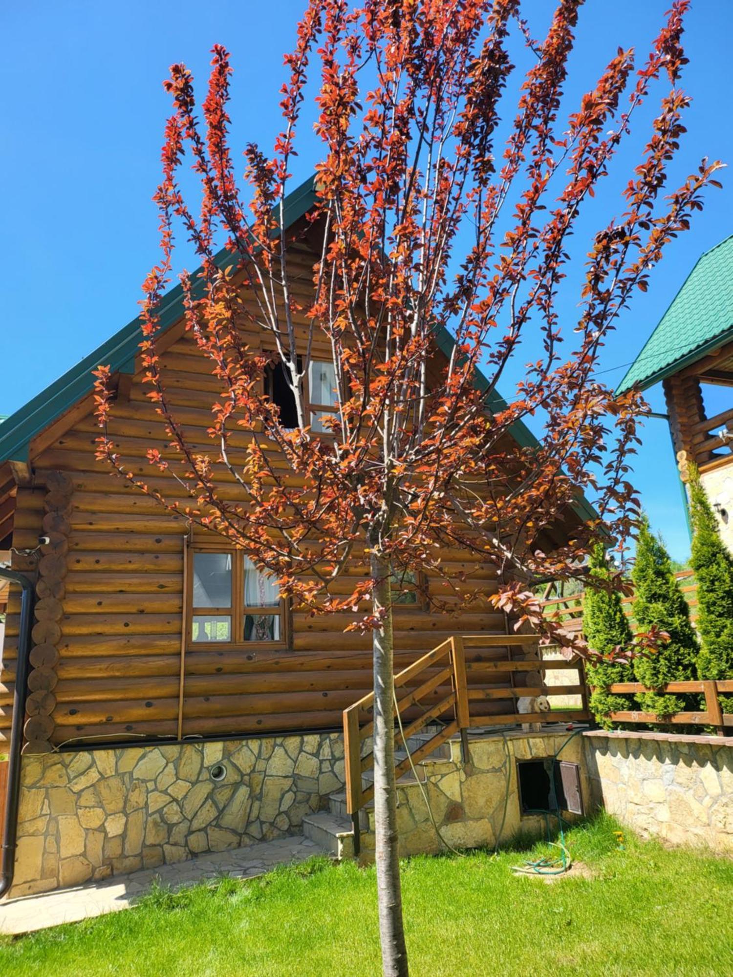 Zlatar Luxury Chalet - Trace Of Nature 2214 Nova Varos Ngoại thất bức ảnh